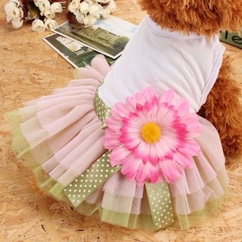Scnor Pet clothing f...